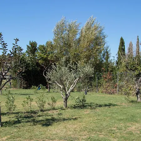 Agricampeggio Ippocampo *
